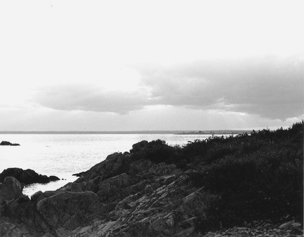Gallery Photo 10