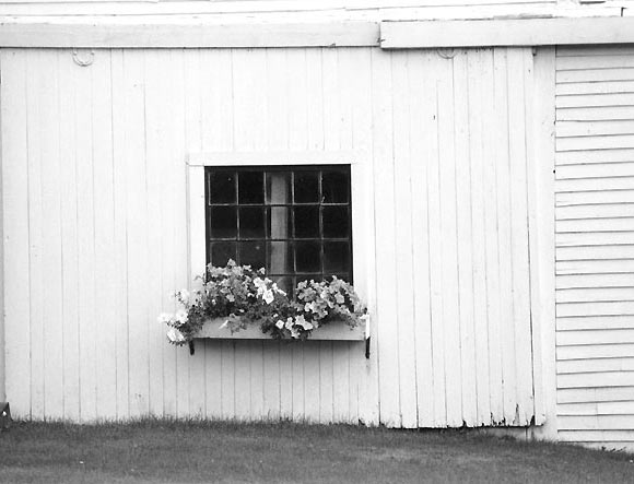 Gallery Photo 14
